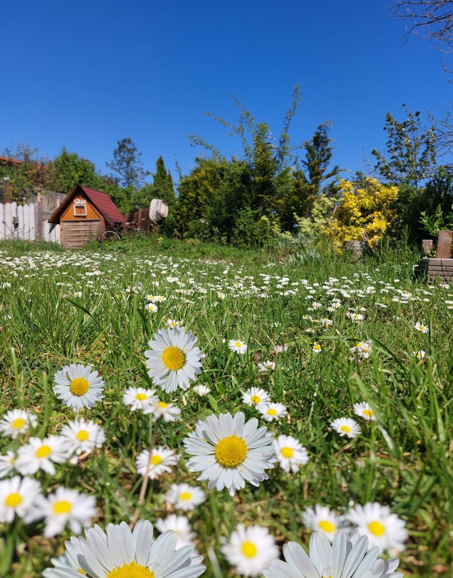 Ferienhaus Nr 2 - Das Kleine Haus Im Haus Heiligenstadt in Oberfranken Bagian luar foto