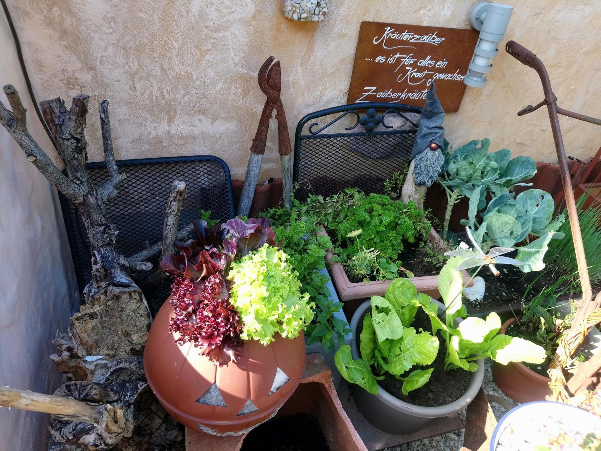 Ferienhaus Nr 2 - Das Kleine Haus Im Haus Heiligenstadt in Oberfranken Bagian luar foto